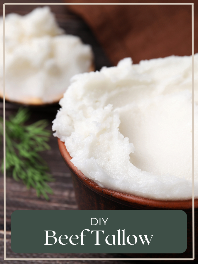 Beef Tallow in bowl