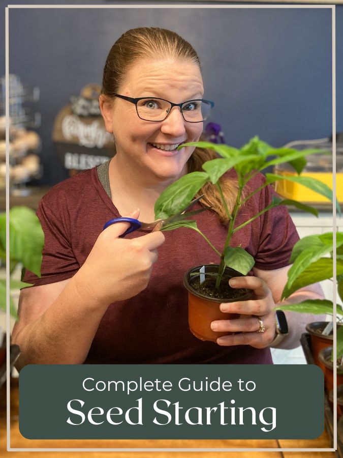 woman with pepper plant