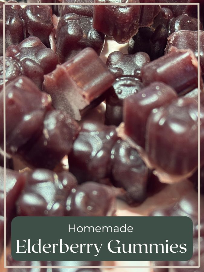 elderberry gummies on plate