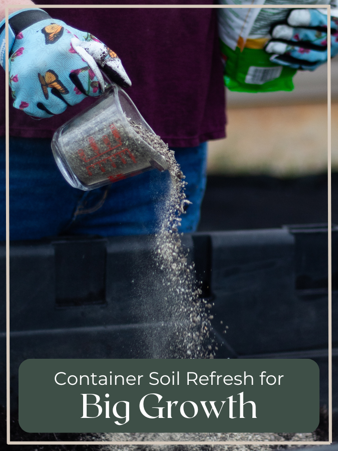 Refresh The Old Potting Soil in Your Container Garden