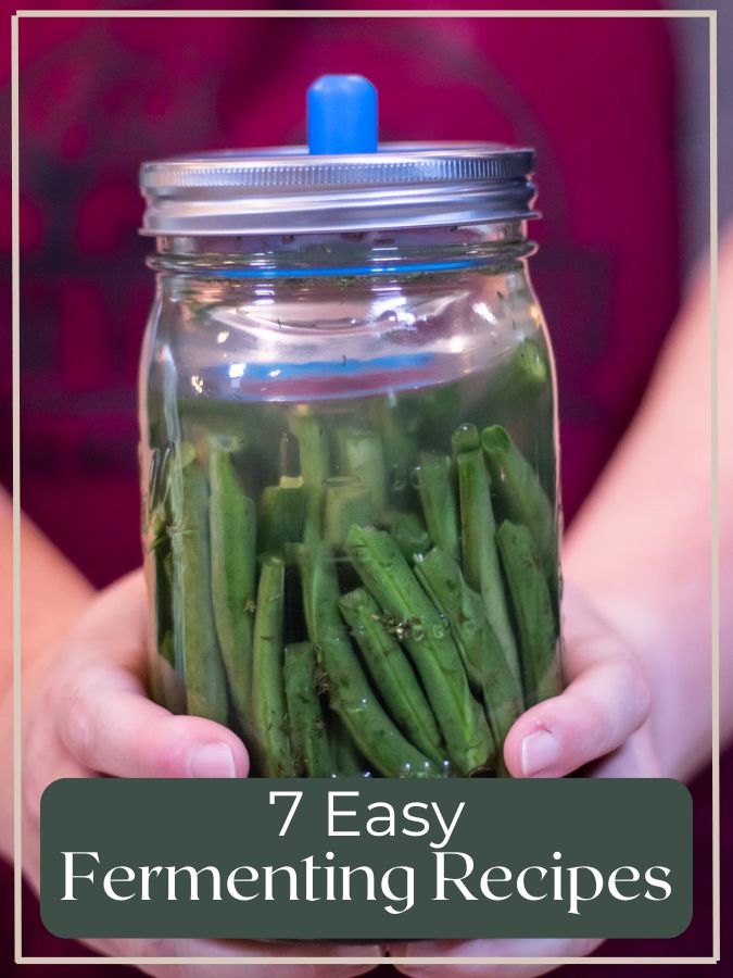 Hands holding a jar of fermented green beans with airlock lid, text overlay reads "7 Easy Fermenting Recipes."
